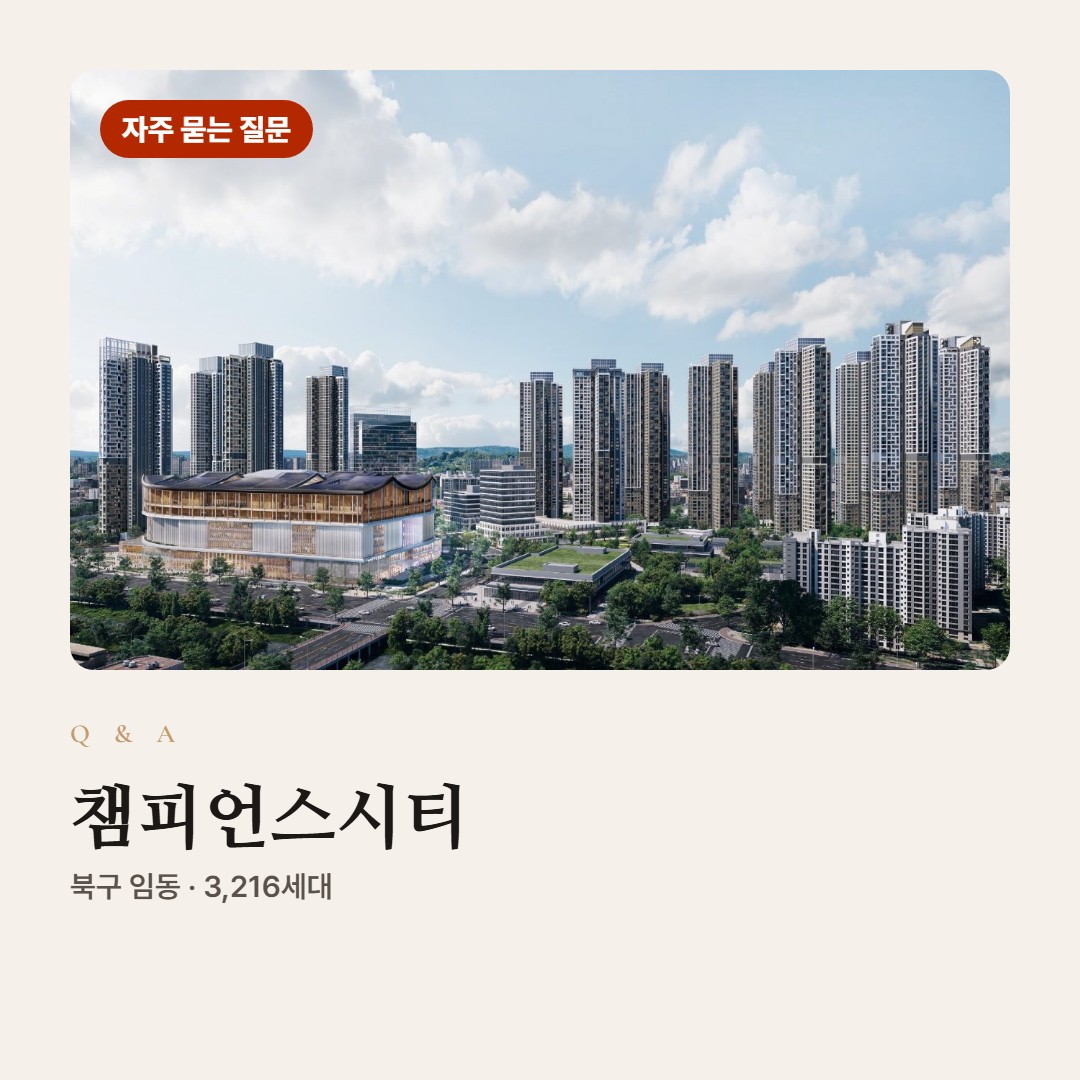 챔피언스시티 자주 묻는 질문